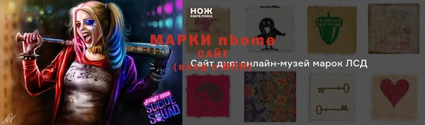 мдпв Богородицк